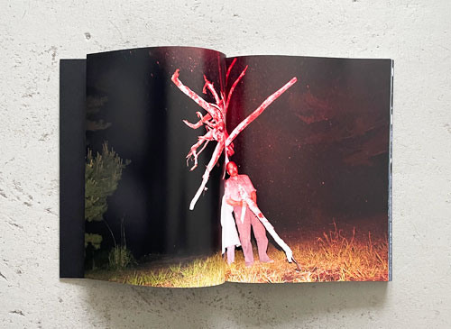 古書古本 Totodo: 志賀理江子 螺旋海岸 album（志賀理江子）