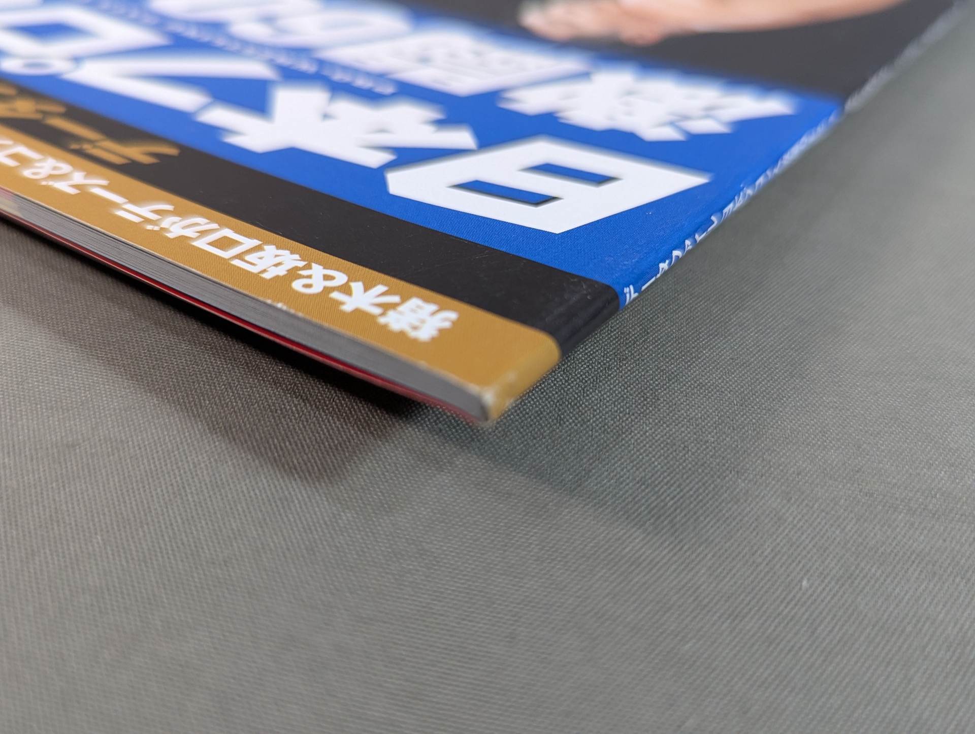 日本プロレス激闘60年史 (11) – 闘道館