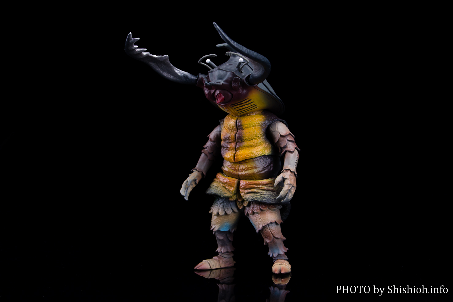 レビュー】S.H.Figuarts アントラー