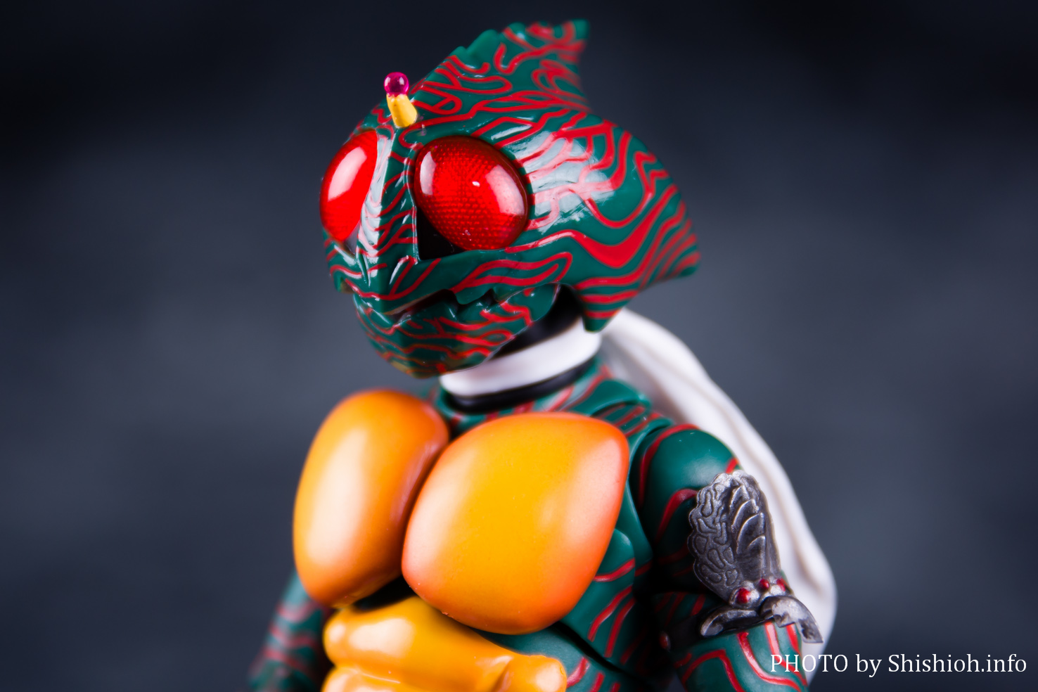 レビュー】 S.H.Figuarts（真骨彫製法）仮面ライダーアマゾン