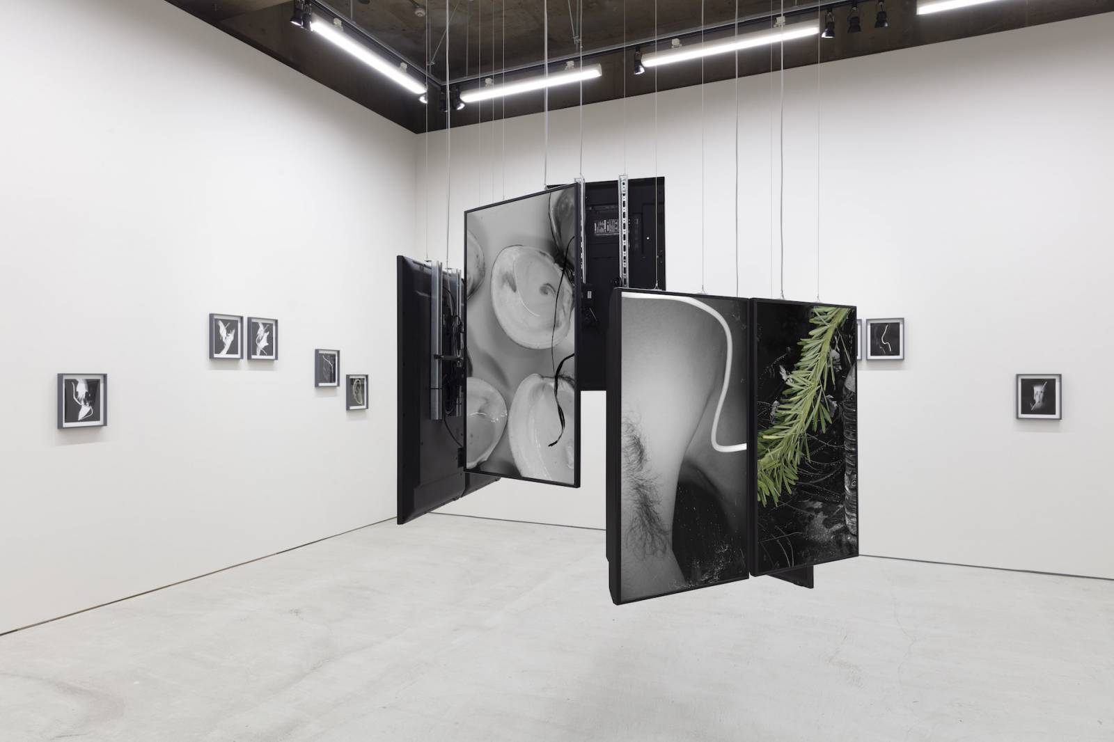 細倉真弓 | Takuro Someya Contemporary Art / TSCA