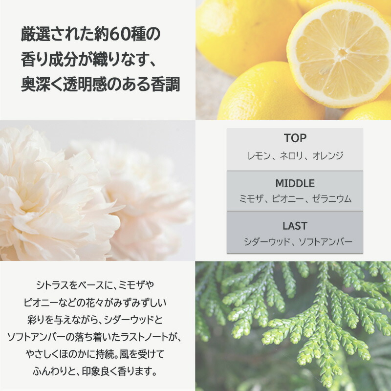 楽天市場】◎【2/20限定！抽選で100％ポイントバック】〈60〉【選べる