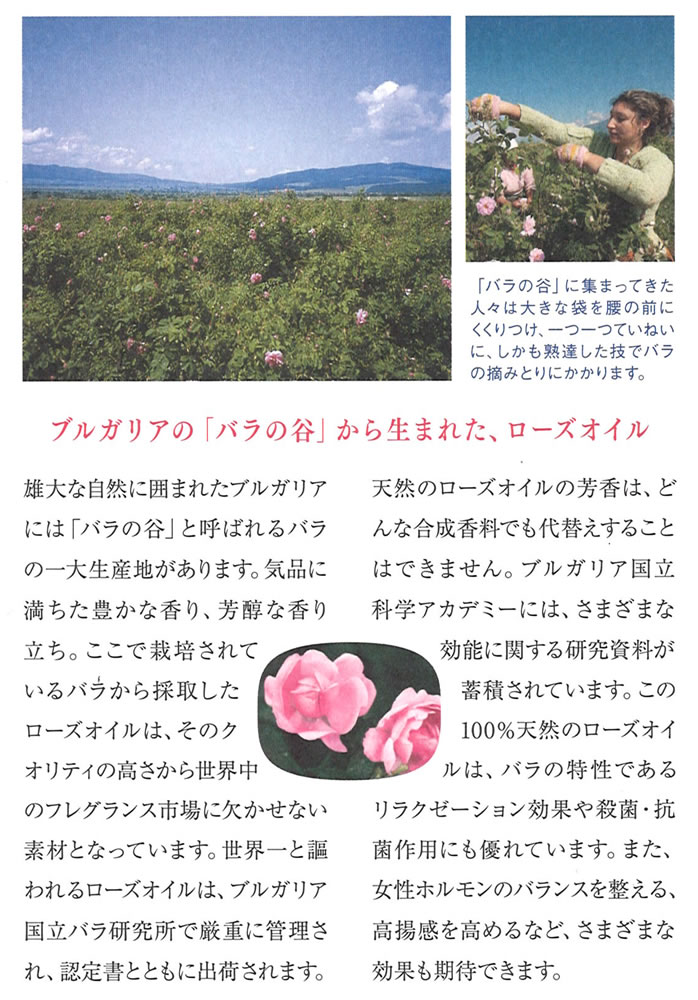 楽天市場】【1g/2g/5g/10g】ブルガリアローズジャパン ローズ