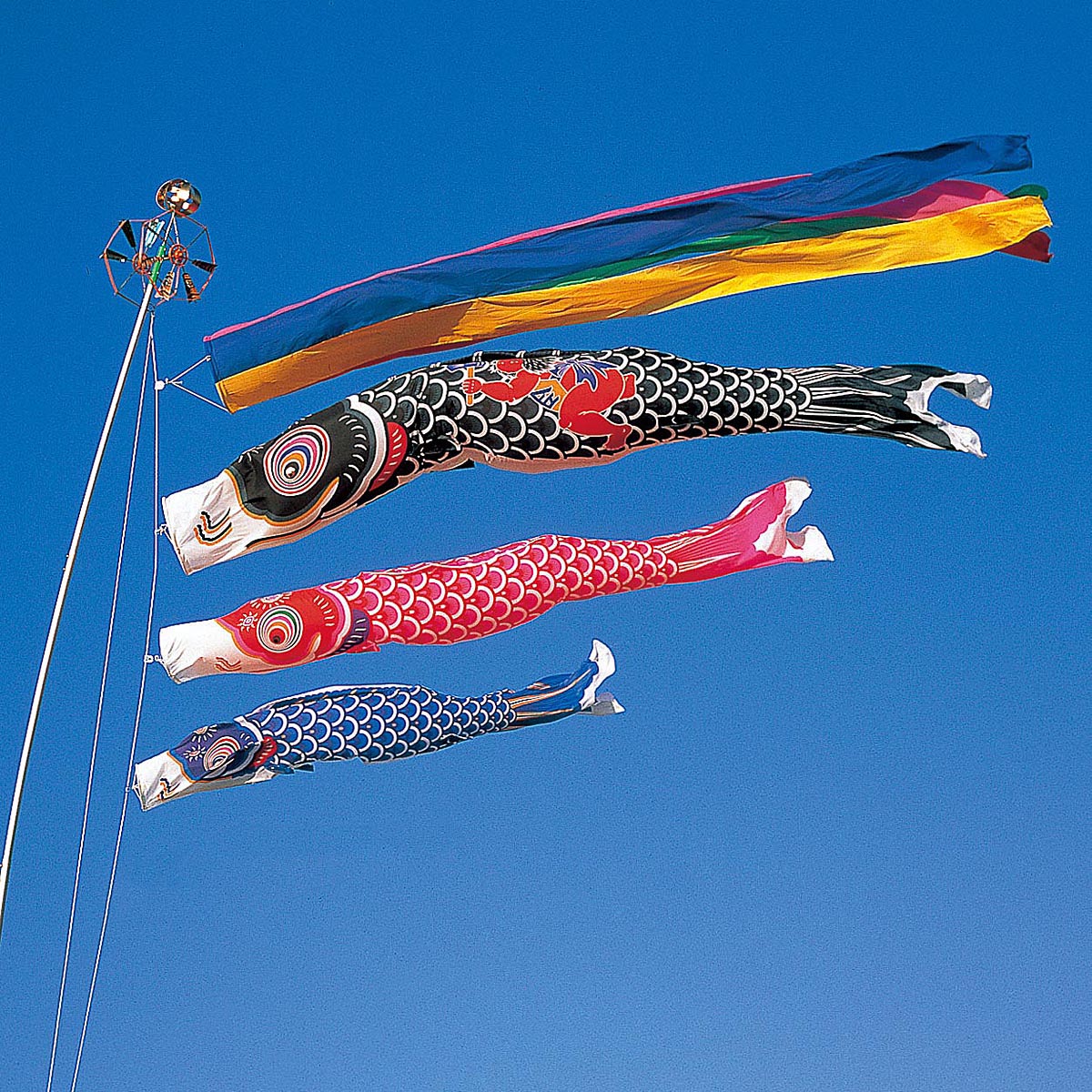 こいのぼり 太郎鯉」の人気商品一覧 | 安い商品を通販サイトから探す