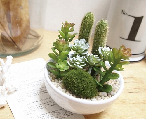 楽天市場】サキュレントリフレリウム 消臭アーティフィシャルグリーン