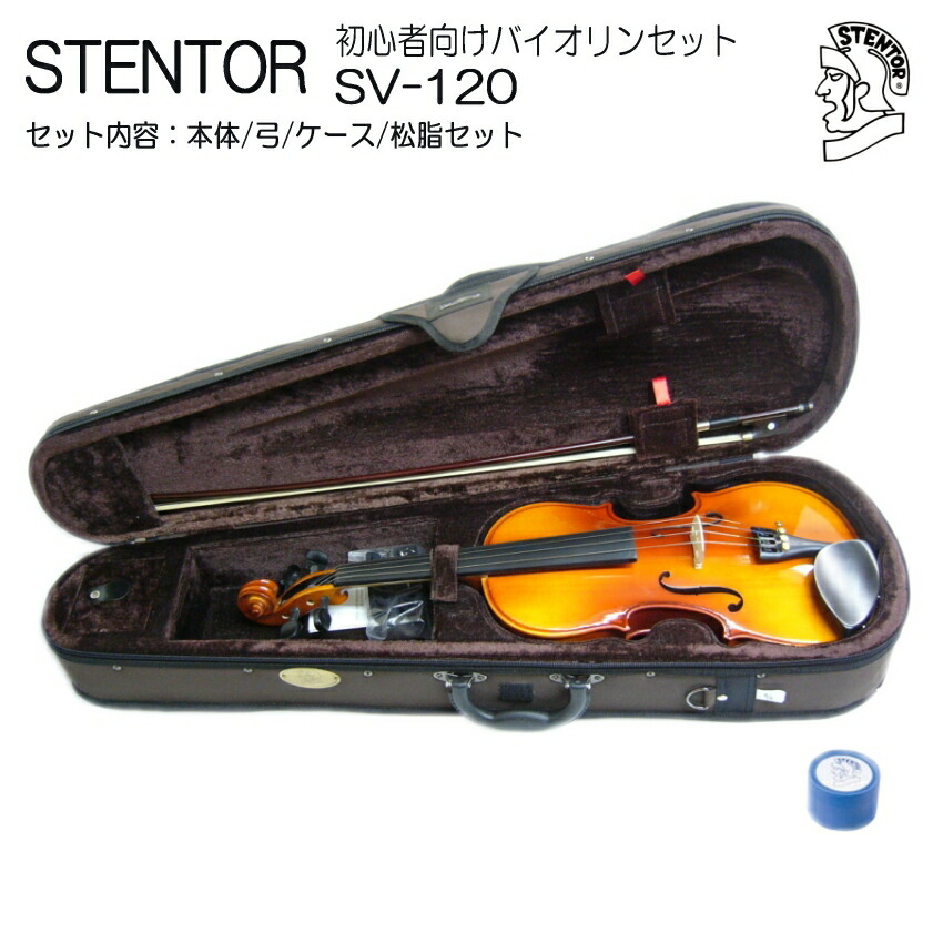 楽天市場】【調整後出荷】ステンター 初心者向け バイオリン SV-120【4