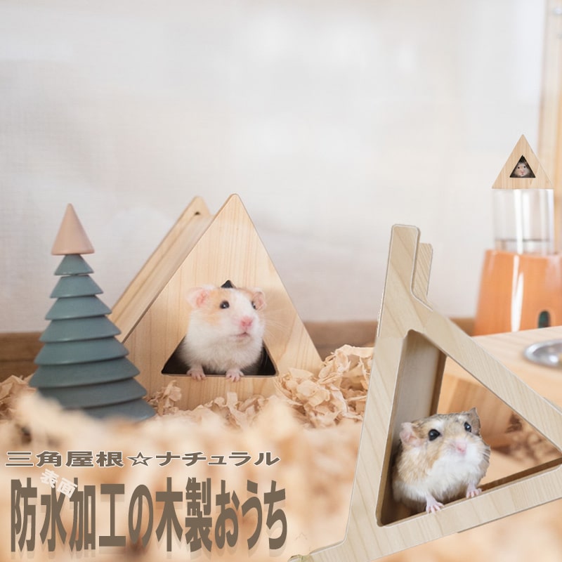 SHUのIcanシリーズ ハムスター作品 SHUのIcanシリーズ ハムスター作品