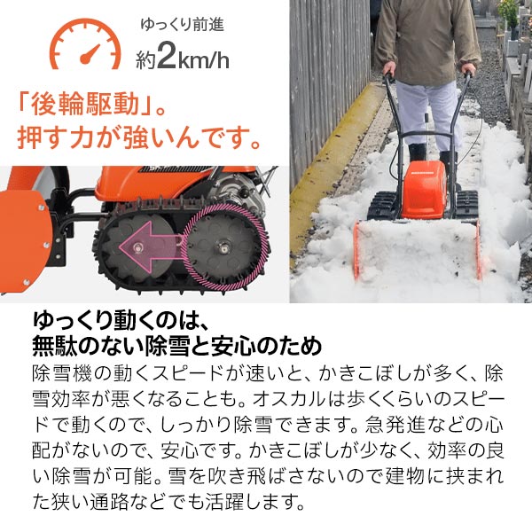 楽天市場】【25日は！枚数限定 最大1,000円OFFクーポン】【法人様限定