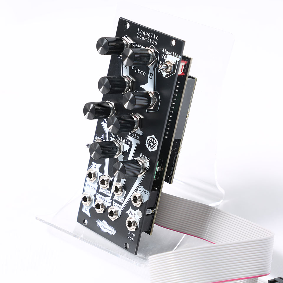 楽天市場】Noise Engineering/Loquelic Iteritas Black【お取り寄せ