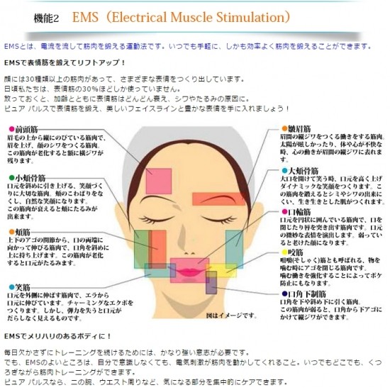 楽天市場】＜マルタカ・パルス＞PurePulse2（ピュアパルス2）美容高