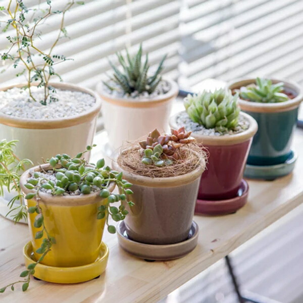 楽天市場】【安心サポート付】カラフル 植木鉢・鉢受けセット （3号・4