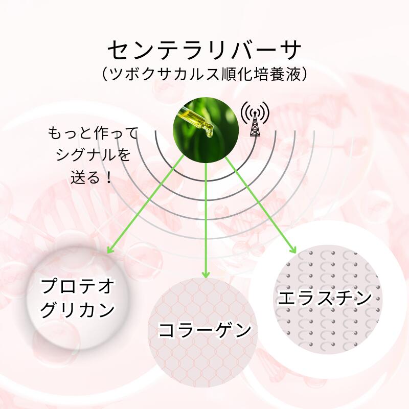 楽天市場】【クーポン配布中】シワ たるみ の救世主！ 原液 美容液