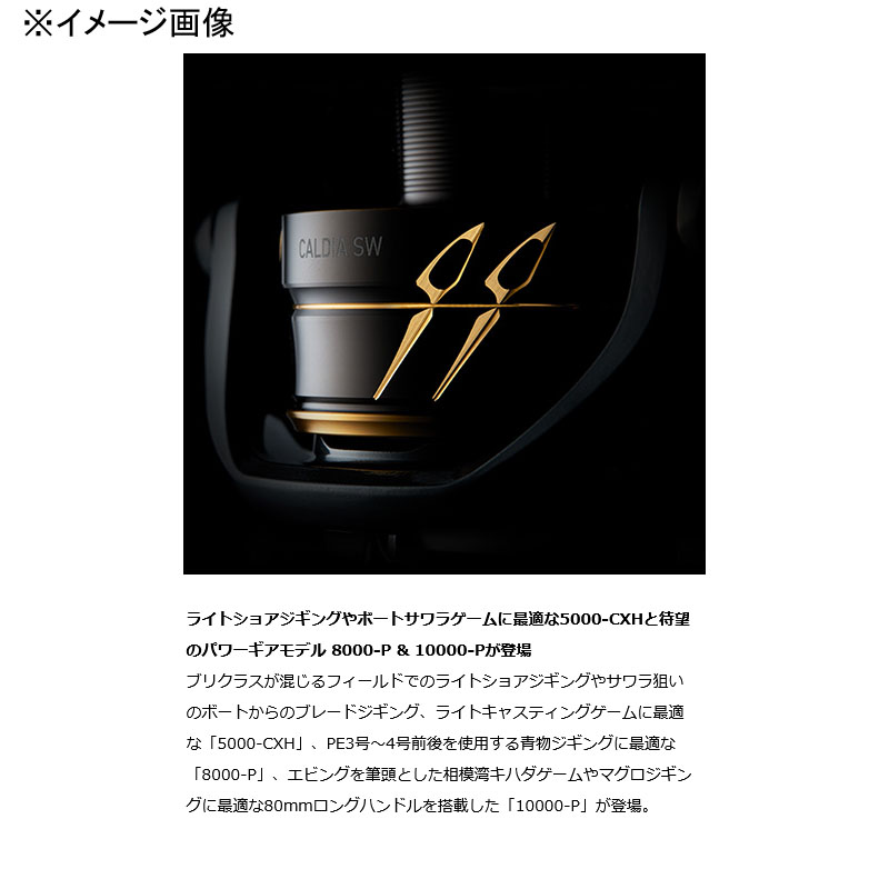 楽天市場】 ダイワ(Daiwa) 22 CALDIA(カルディア) SW 10000-P 00065172