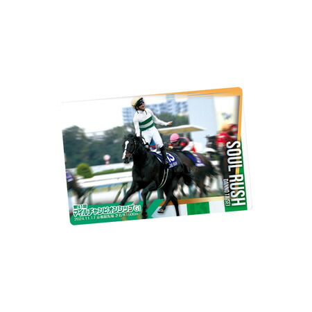 楽天市場】サラブレッドホースコレクション ツインウエハース 第3R
