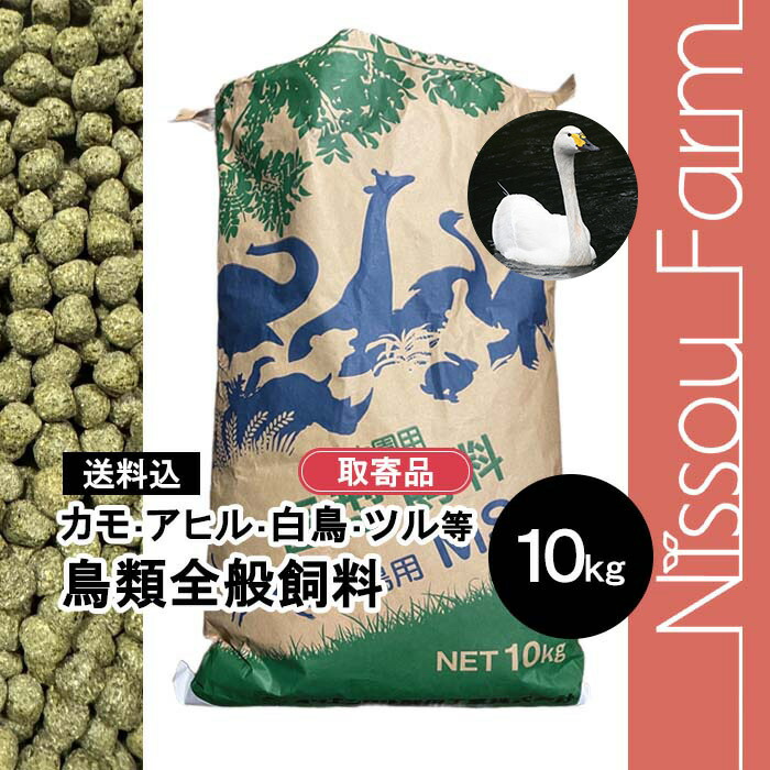 imgrc0103090341.jpg?fitin=720:720