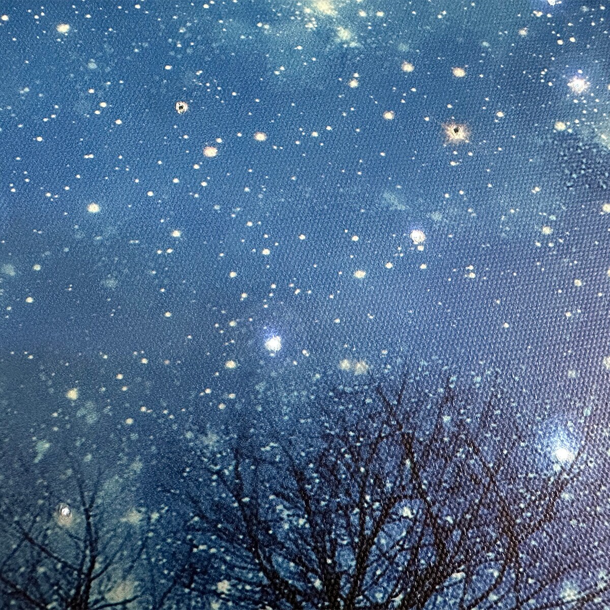 楽天市場】LEDキャンバスポスター 星空(ZF01) ニトリ 【玄関先迄納品