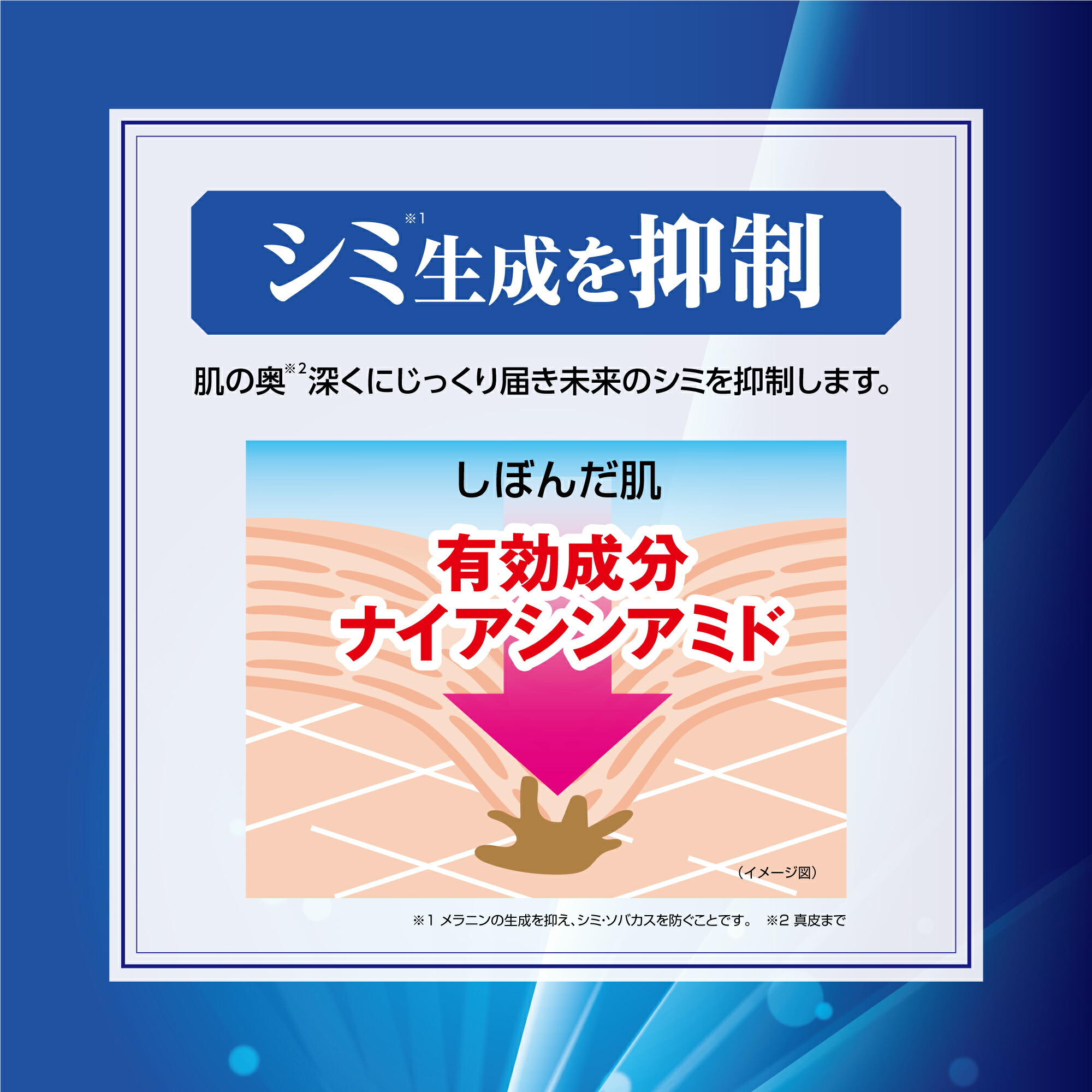 楽天市場】【スーパーSALE 15%OFF！】リアルタイムランキング1位