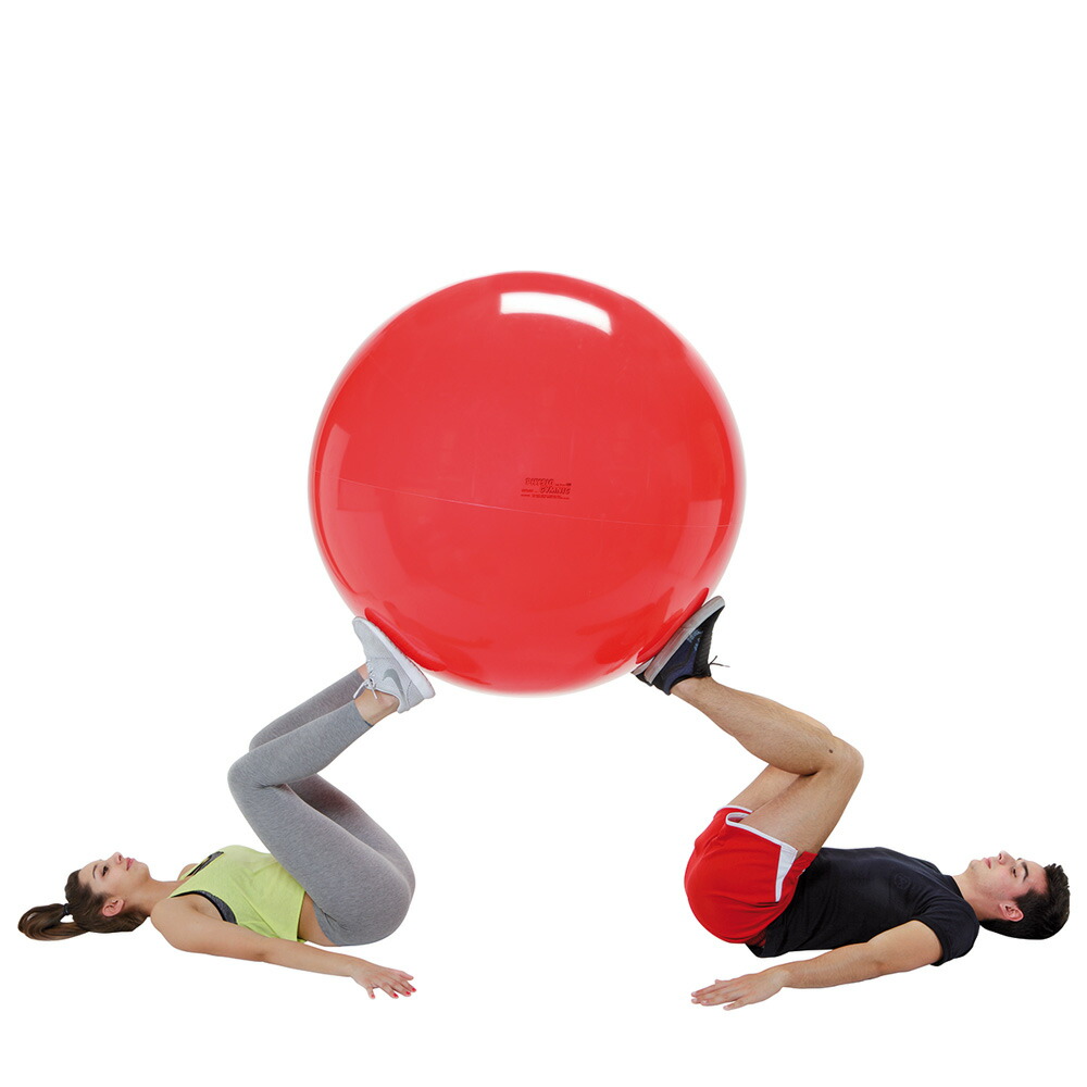 ギムニク GYMNIC フィジオロール 直径85cm フィジオロール – 株式会社