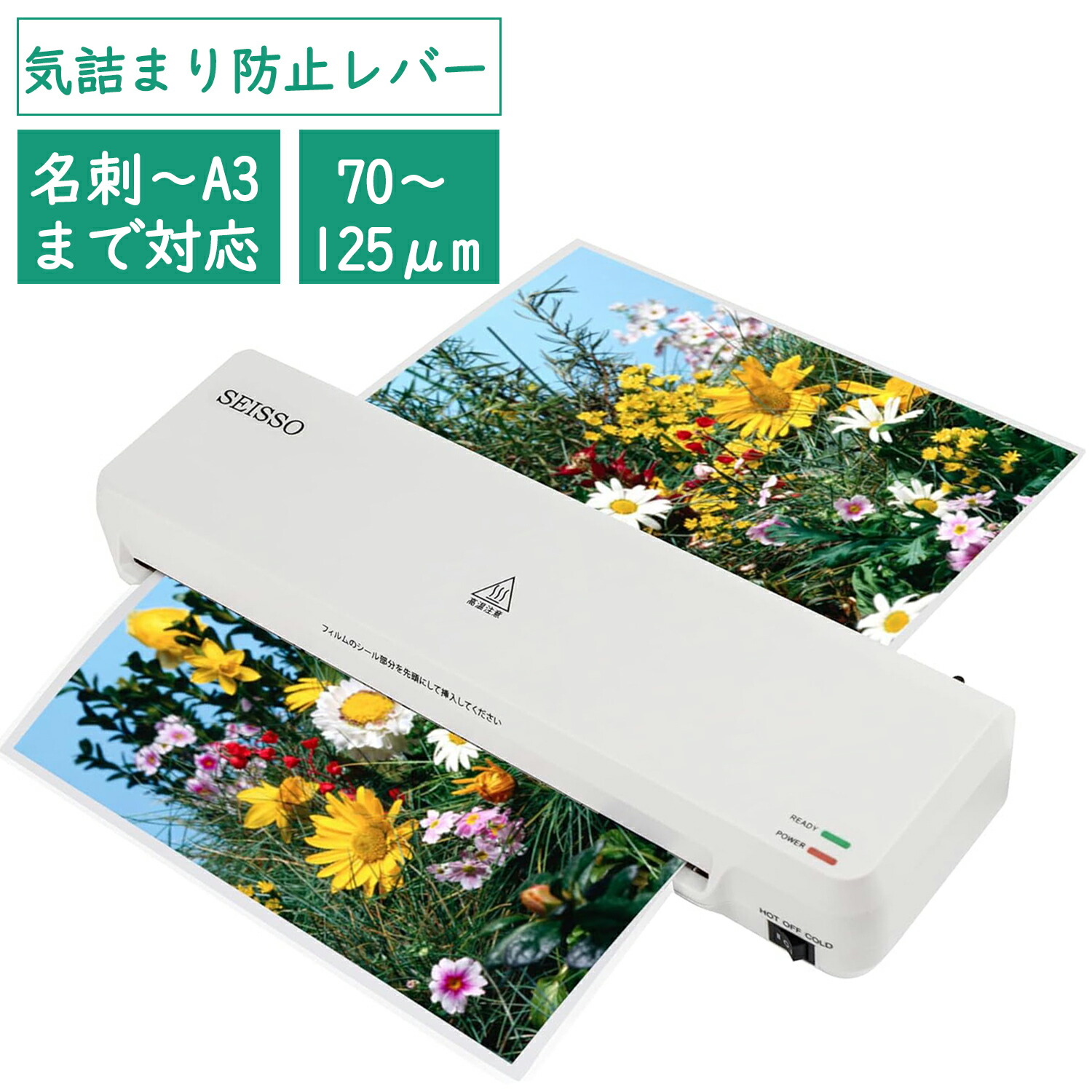 楽天市場】【2月末SALE！15％OFF券付・楽天1位受賞・最強配送】 SEISSO