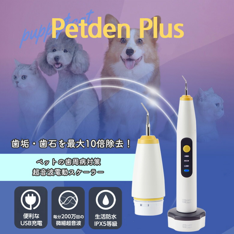 楽天市場】Petden PLUS ペットデンプラス ペットの歯垢 歯石 除去 犬