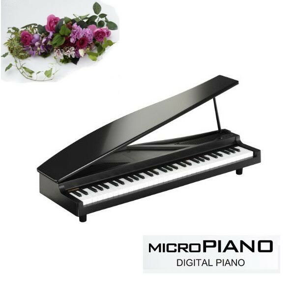 楽天市場】KORG MICRO PIANOの通販