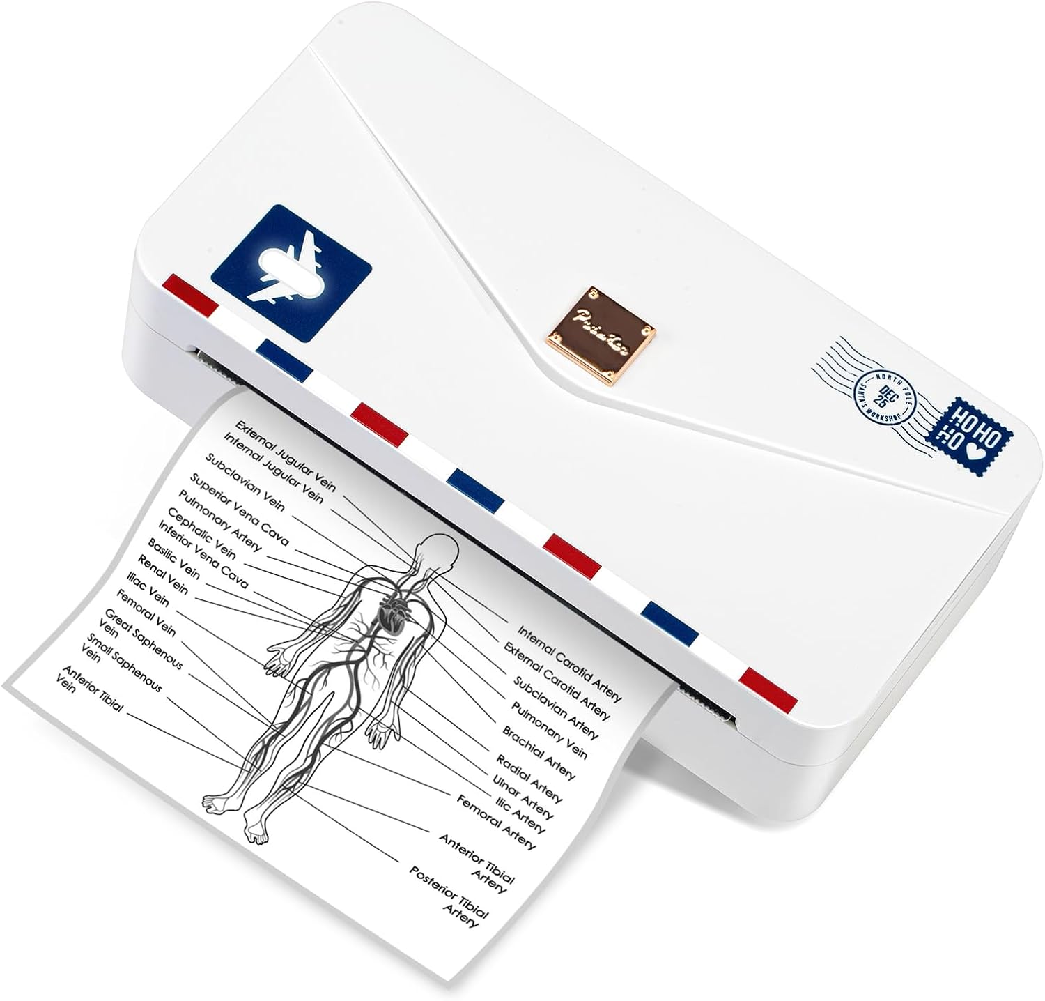 楽天市場】[レビュー特典] Phomemo M04AS サーマルプリンター 感熱