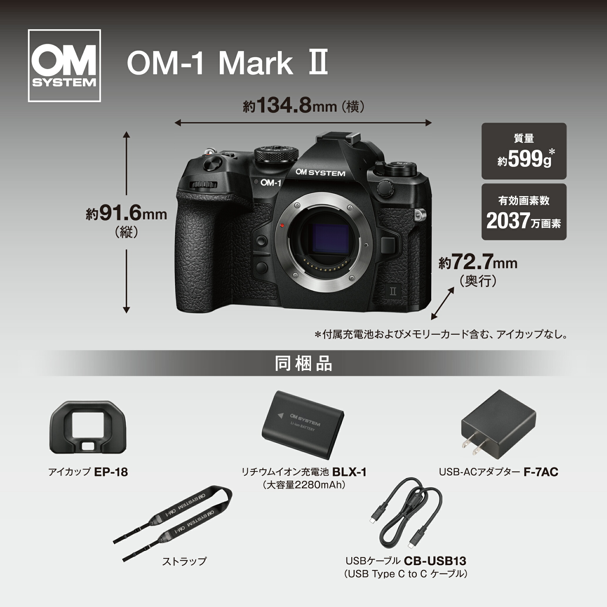 楽天市場】【キャッシュバック＆3/6までプレゼント付き】 OM-1 Mark II