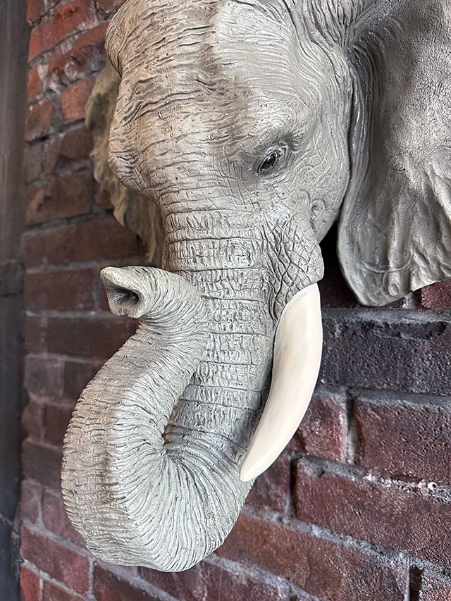 楽天市場】エレファント ヘッドオブジェ ゾウさん ウォール