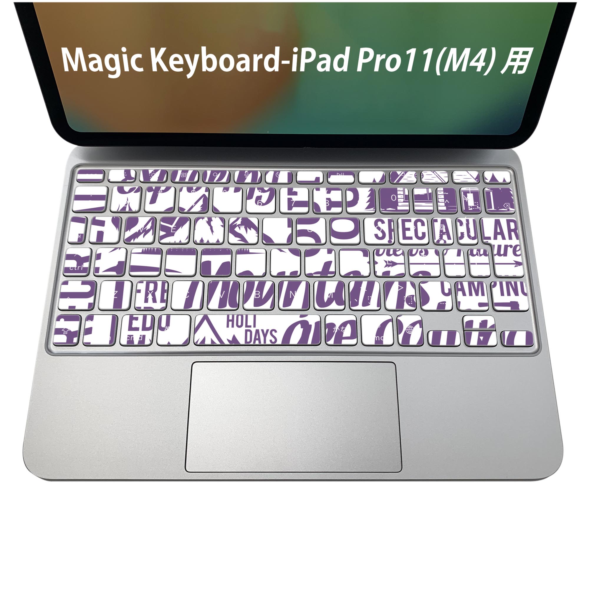 楽天市場】Magic Keyboard 専用 iPadPro11inch 13inch(M4) 2024 第5