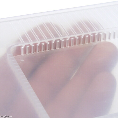 楽天市場】プラケース コバエの侵入抑制用 たのしい生き物 飼育容器 小