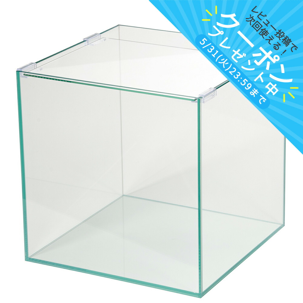 楽天市場】【3／1限定】当選確率2分の1！1等最大100％ ガラス