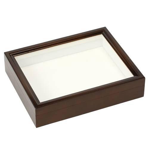 標本箱 ドイツ箱 大型 5個セット(中古、藤本標本用品製等)