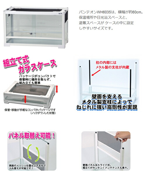 楽天市場】【3／1限定】当選確率2分の1！1等最大100％ 爬虫類