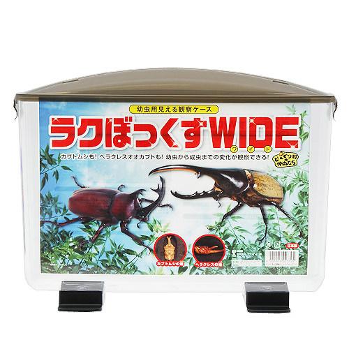 楽天市場】プラケース 見える観察ケース ラクぼっくす ワイド 関東当日