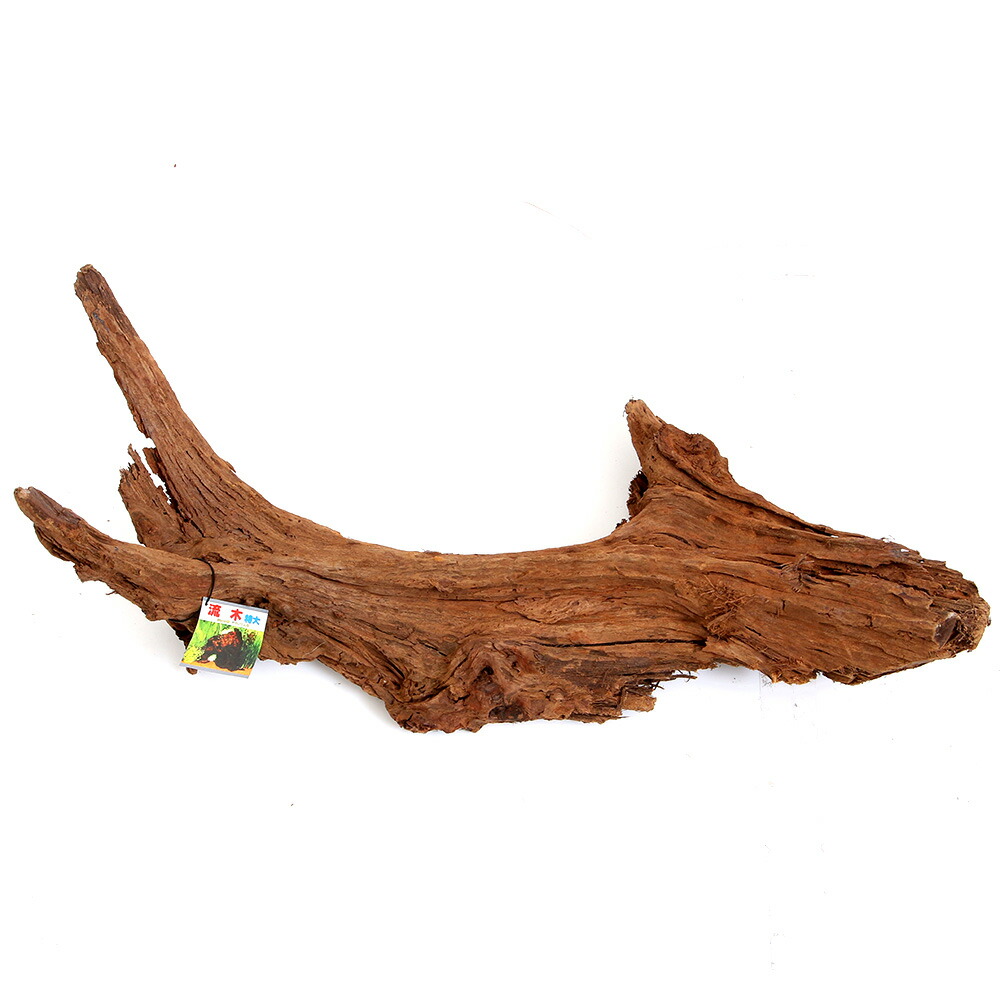 楽天市場】送料無料 カミハタ 流木 特大 形状お任せ アクアリウム 水槽