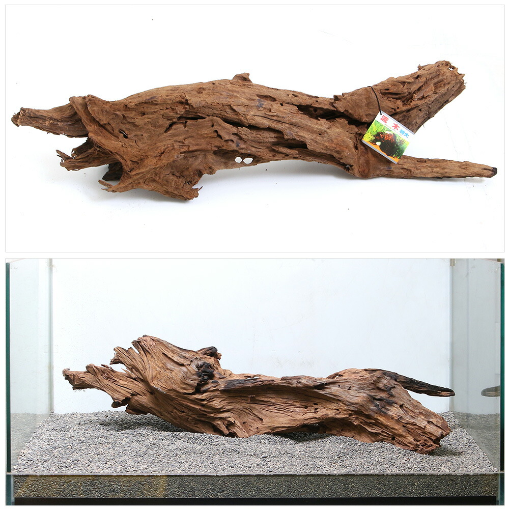 楽天市場】送料無料 カミハタ 流木 特大 形状お任せ アクアリウム 水槽