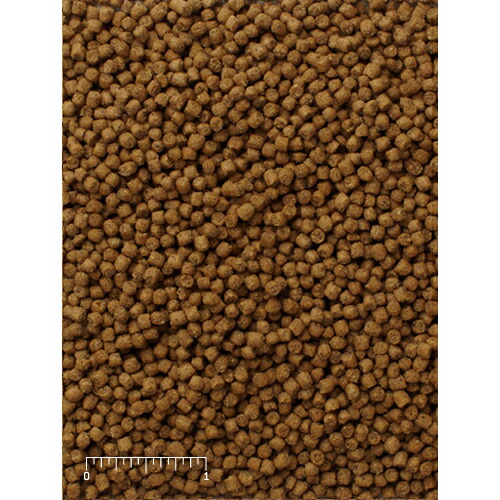 楽天市場】Mazuri インセクティボア ダイエット 1kg 5MM3