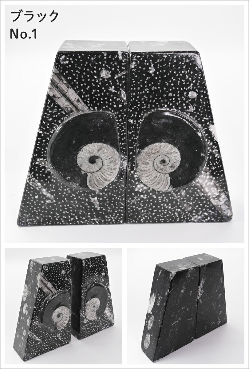 楽天市場】Lサイズ アンモナイト【化石ブックエンド】大理石 ブック