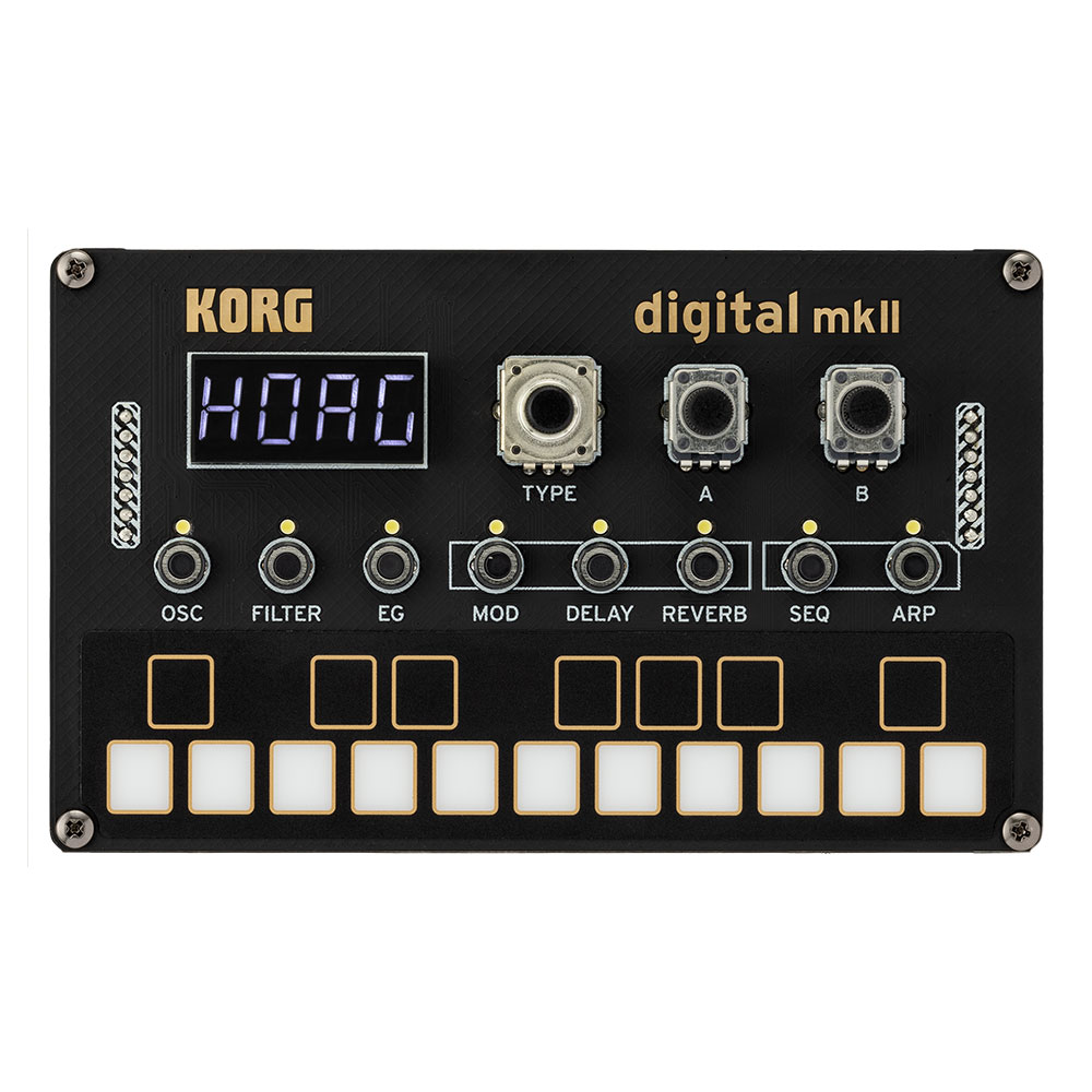 楽天市場】コルグ シンセサイザー 組み立てキット KORG NTS-1 digital