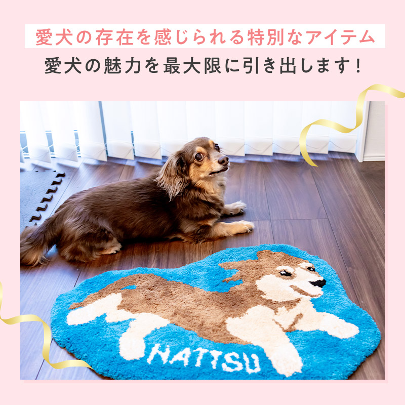 楽天市場】【20日限定P5倍+200円OFFクーポン】 【2024年10月30日新発売