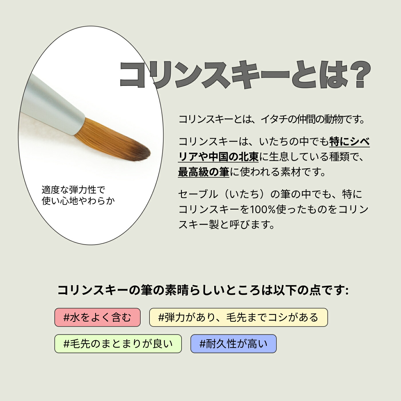 楽天市場】密毛 高級アクリル用 コリンスキーブラシ ラウンド スカルプ