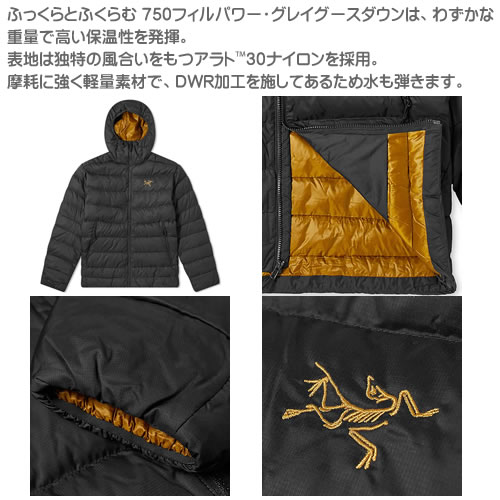 楽天市場】アークテリクス ソリウム AR フーディ ダウン ダウン