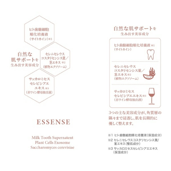 楽天市場】BELURA 美肌エッセンス 美容液 ベルラ 乳歯歯髄 由来成分