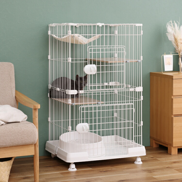 291145-00.jpg?fitin=720:720