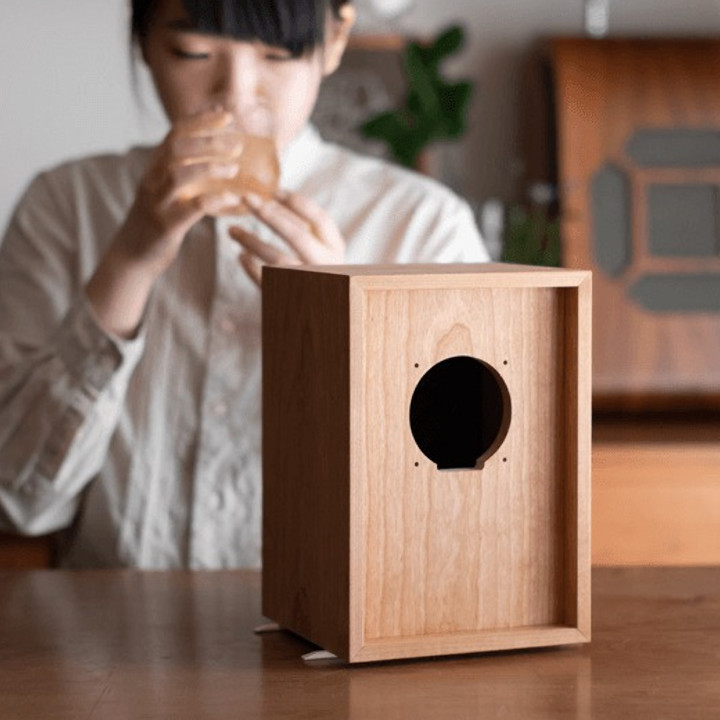 楽天市場】DENTO 伝統工芸SSFWA きほんのスピーカーキット (2個セット