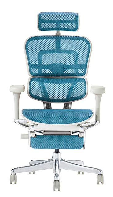 楽天市場】2025年新型 レビュー特典あり エルゴヒューマン プロ2