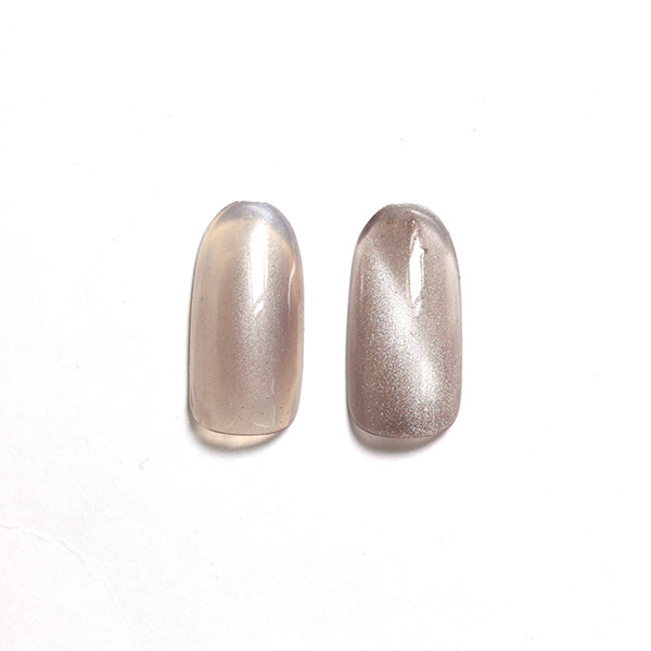 楽天市場】【最大3％OFF】 シャレドワ SHAREYDVA マグネットパウダー