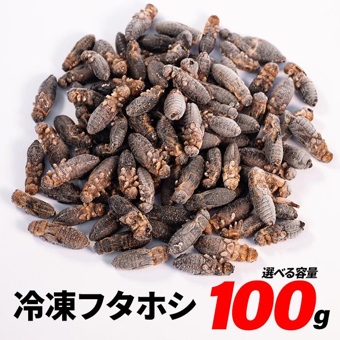 楽天市場】冷凍コオロギ ML 100g 300g 500g 1kg 送料無料 2cm程度