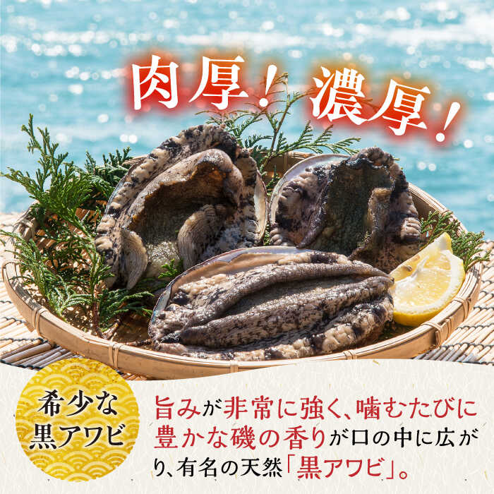 Akiya 200 アバロン ブラックアワビ Akiya 200 アバロン ブラック