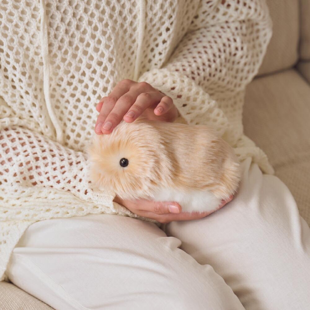 楽天市場】【ふるさと納税】 カシオ 「 Moflin 」 AIペットロボット PE